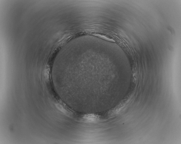 X0000115530231200912040956