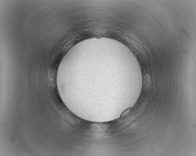 X0000115530234200912040956