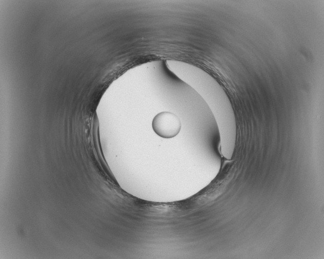 X0000115530237200912040956