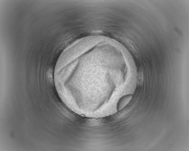 X0000115530238200912040956