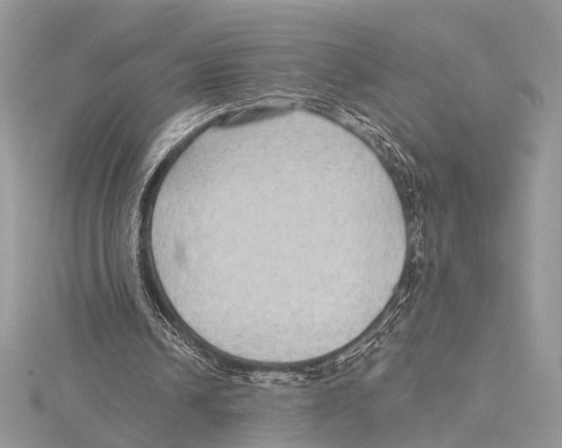 X0000115530242200912040956