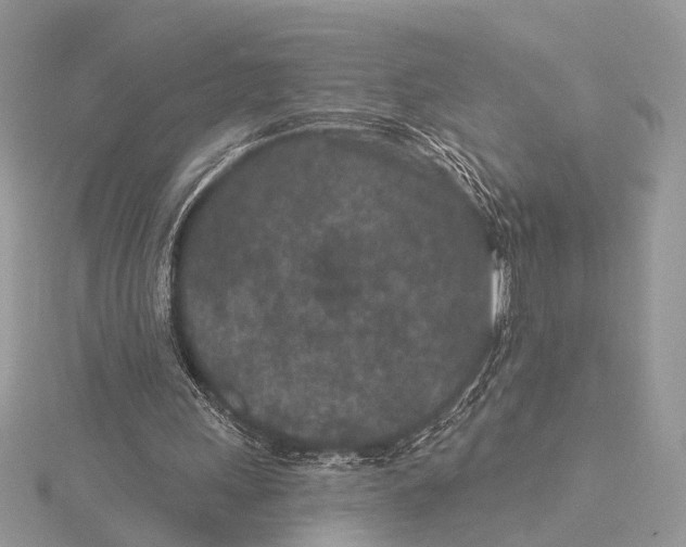 X0000115530243200912040956