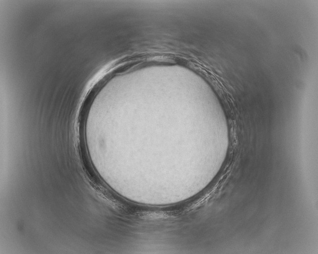 X0000115530246200912040956