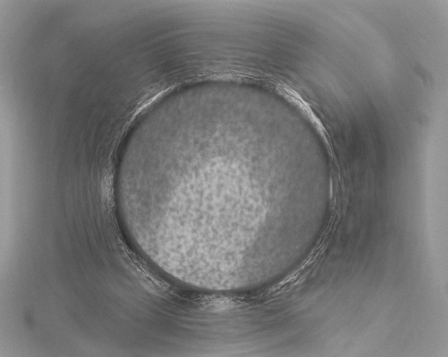 X0000115530249200912040956