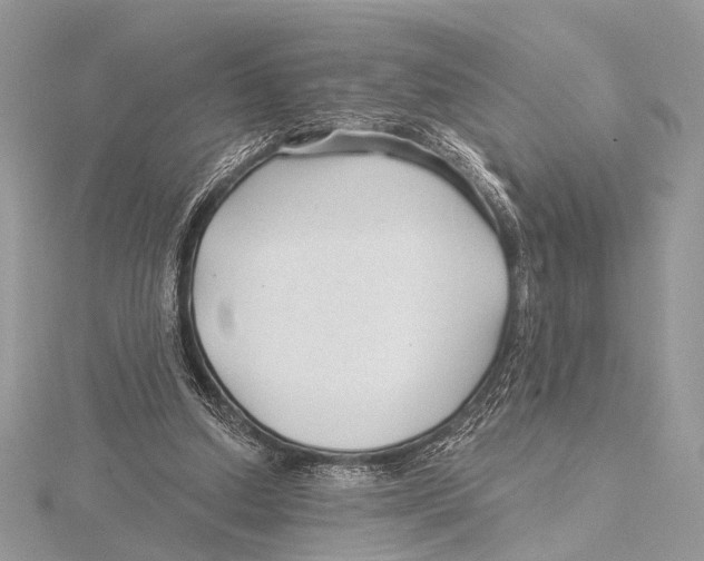 X0000115530250200912040956