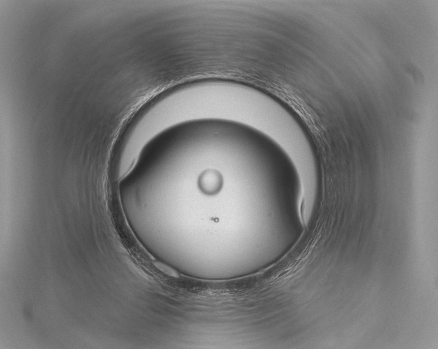 X0000115530252200912040956