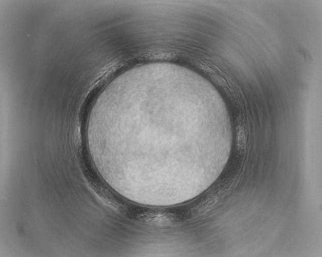 X0000115530254200912040956