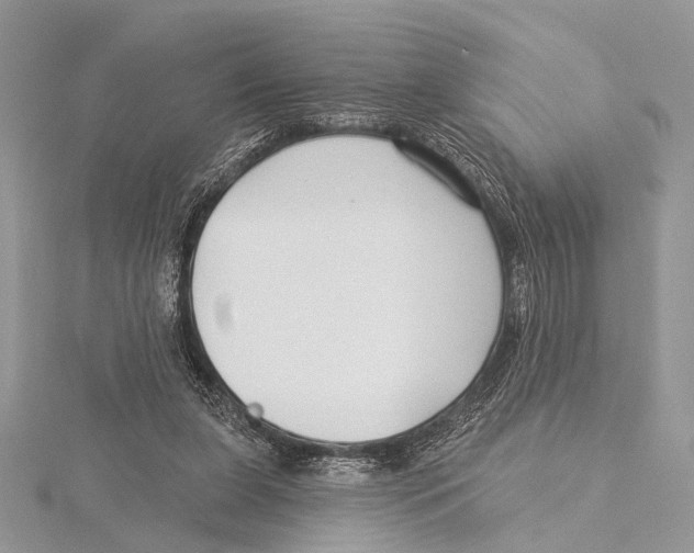 X0000115530255200912040956