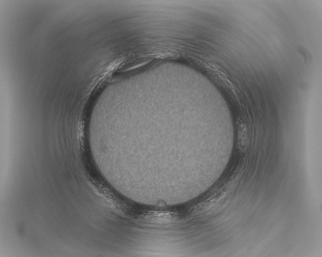 X0000115530260200912040956