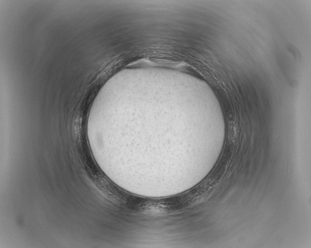 X0000115530263200912040956