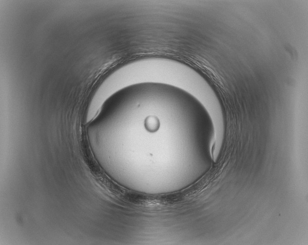 X0000115530264200912040956