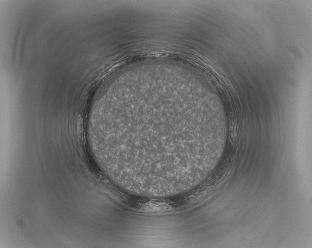 X0000115530270200912040956