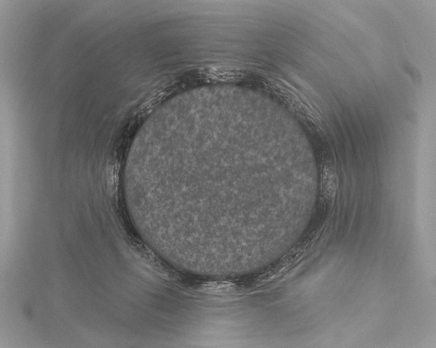 X0000115530271200912040956