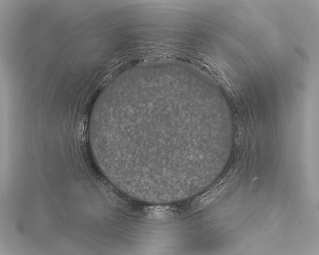 X0000115530273200912040956