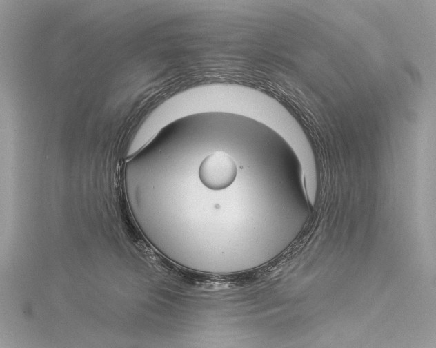 X0000115530276200912040956