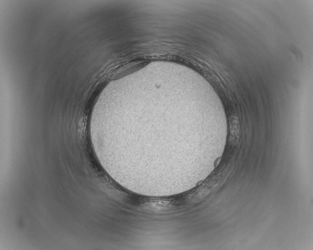 X0000115530278200912040956