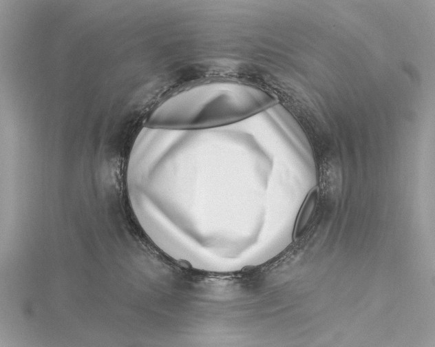 X0000115530280200912040956