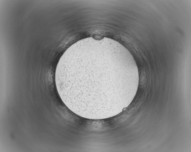 X0000115530282200912040956