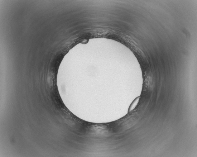 X0000115530283200912040956