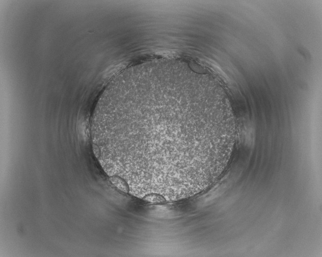 X0000115530285200912040956