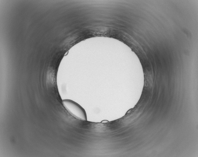 X0000115530287200912040956