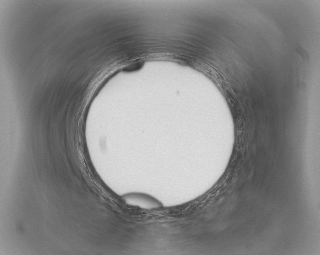 X0000115530289200912040956