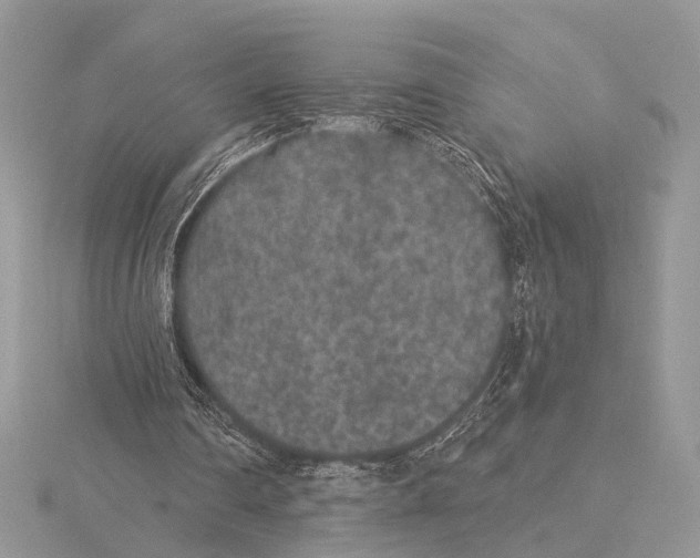 X0000115530290200912040956