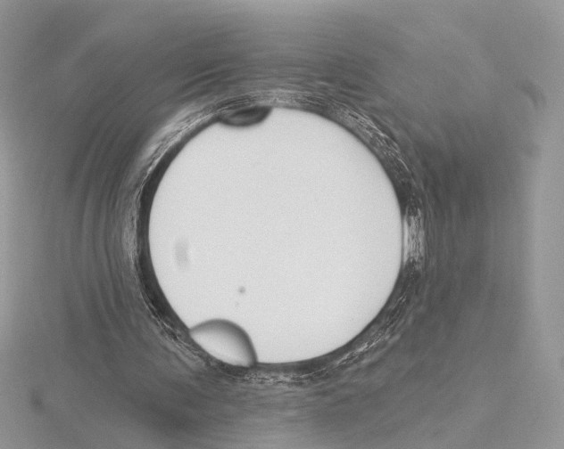 X0000115530291200912040956