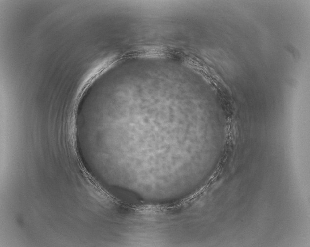 X0000115530293200912040956