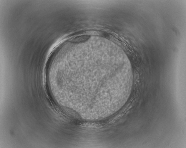 X0000115530294200912040956