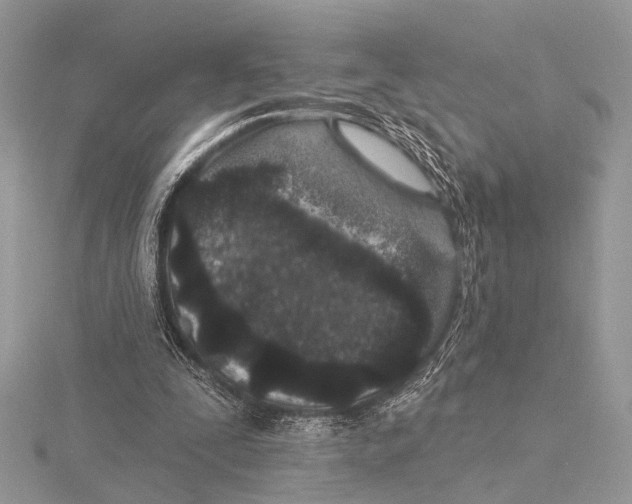 X0000115530295200912040956