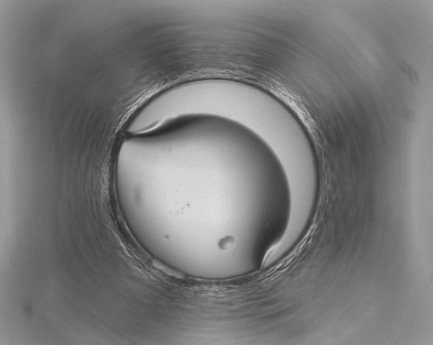 X0000115530297200912040956