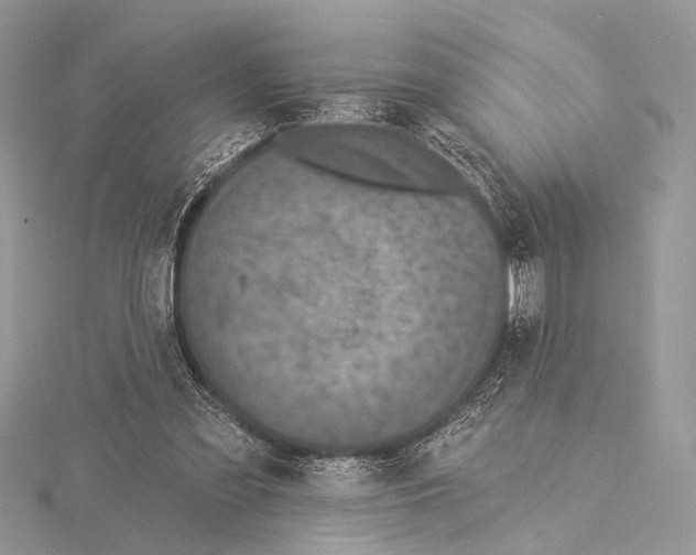 X0000115530301200912040955