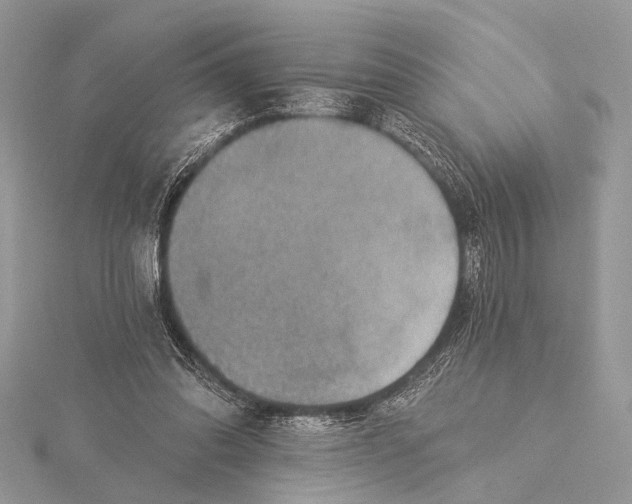 X0000115530302200912040955