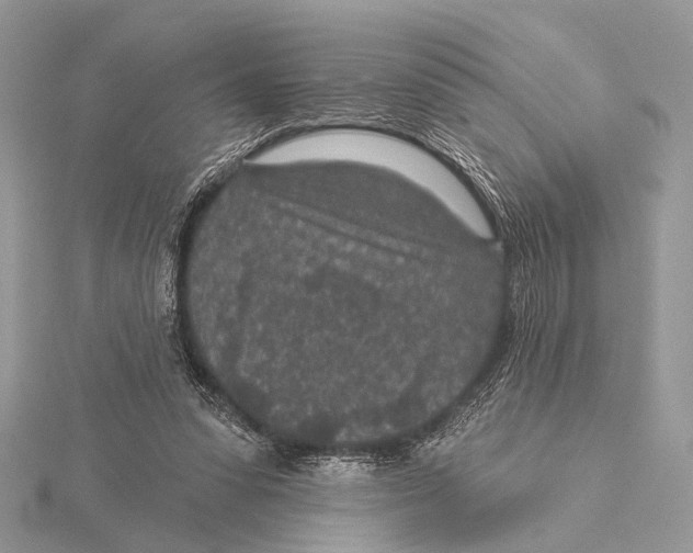 X0000115530303200912040955