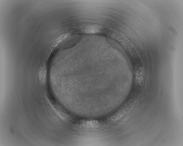 X0000115530304200912040955