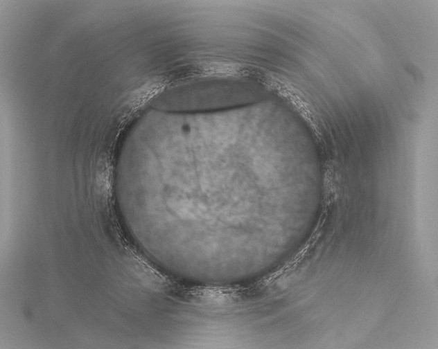 X0000115530305200912040955