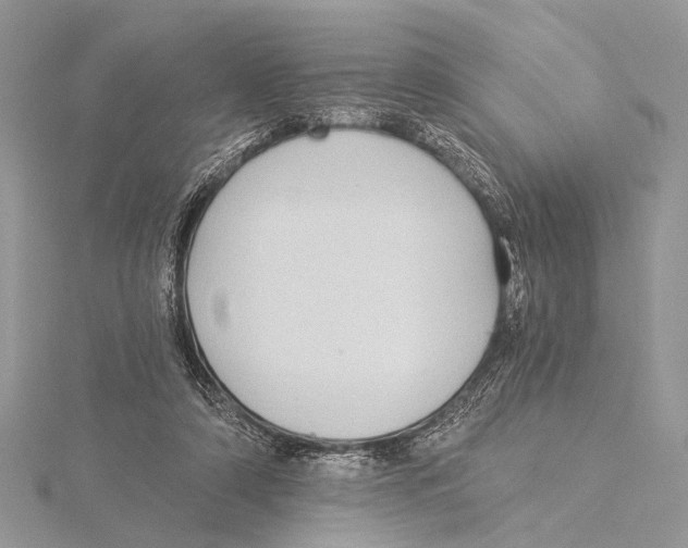 X0000115530306200912040955