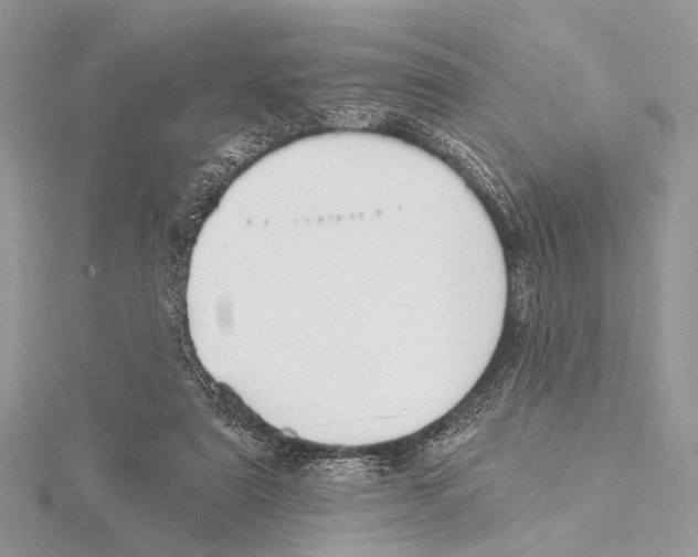 X0000115530307200912040955