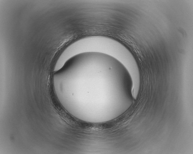 X0000115530308200912040955