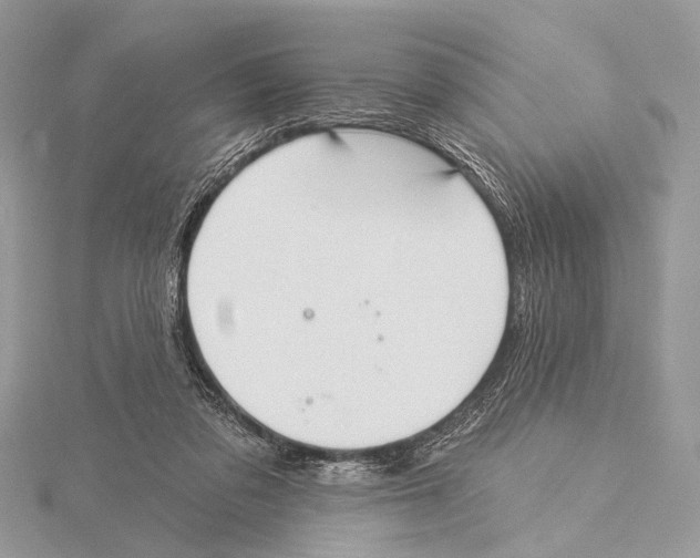 X0000115530309200912040955