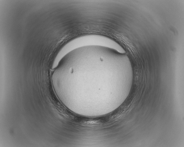 X0000115530312200912040955