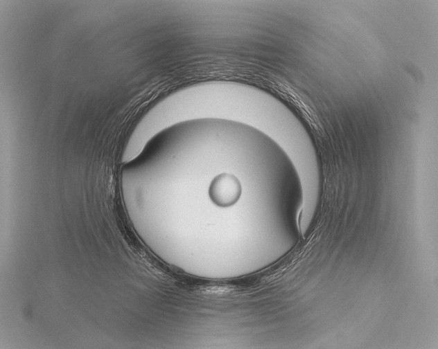 X0000115530313200912040955