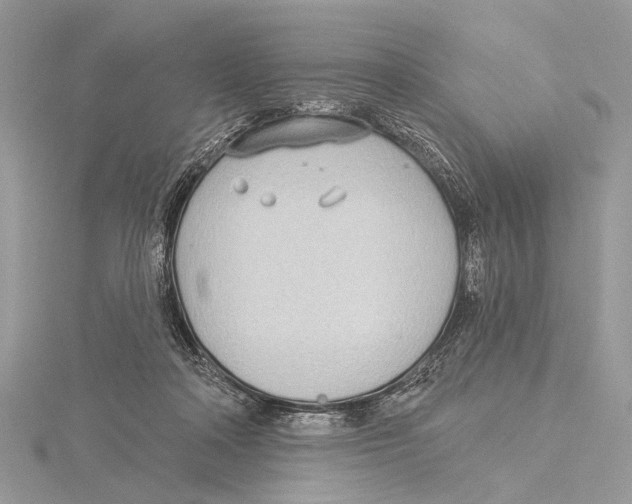 X0000115530314200912040955