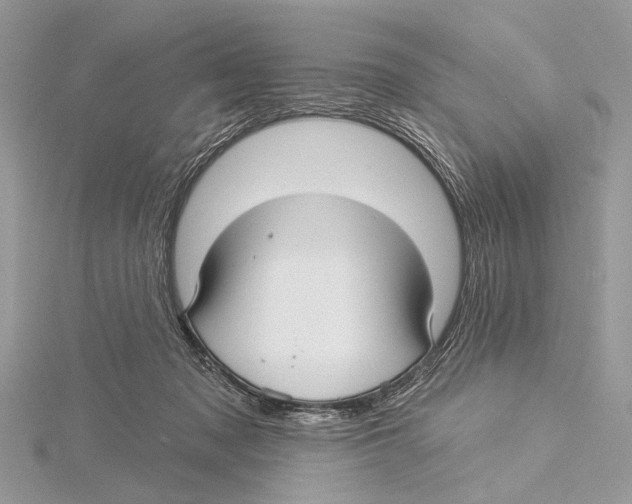 X0000115530317200912040955