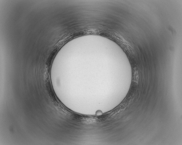 X0000115530318200912040955