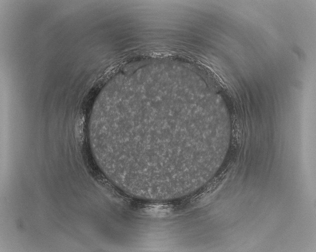 X0000115530319200912040955