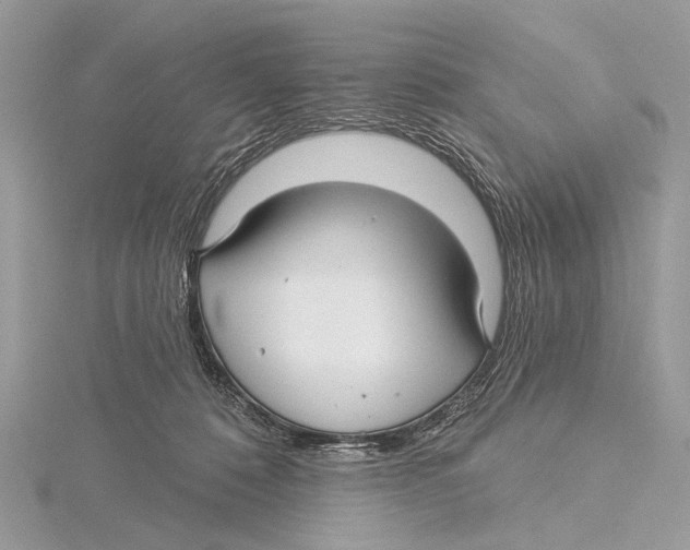 X0000115530320200912040955