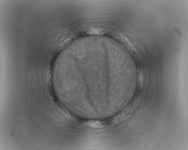 X0000115530322200912040955