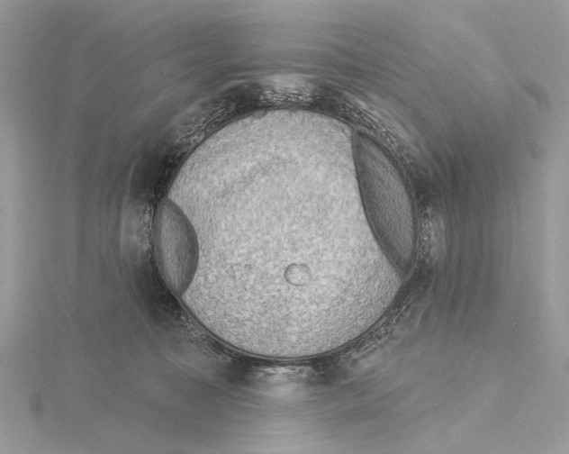 X0000115530323200912040955